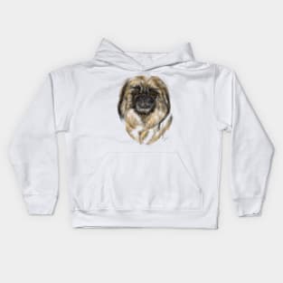 A happy Pekingese pooch Kids Hoodie